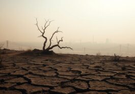 Globale Erwärmung: Was sie bedeutet und wie wir sie stoppen können