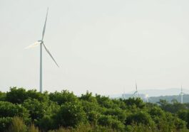 Was bedeutet eigentlich „klimaneutral“ – und wer darf es sagen?